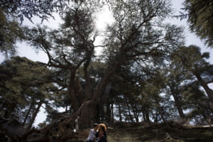 Love and kiss in cedars valley . Elopement in Beirut